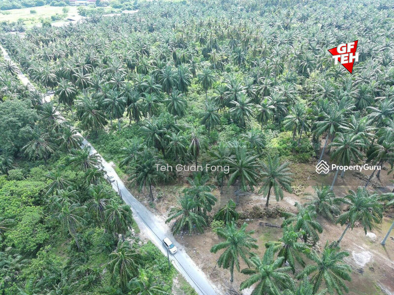 Untuk Dijual - 21.51 acres Residential Land | Bandar Tasek Mutiara | Simpang Ampat