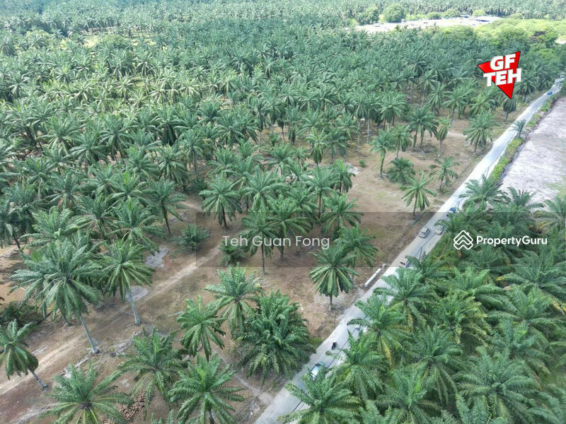Untuk Dijual - 21.51 acres Residential Land | Bandar Tasek Mutiara | Simpang Ampat
