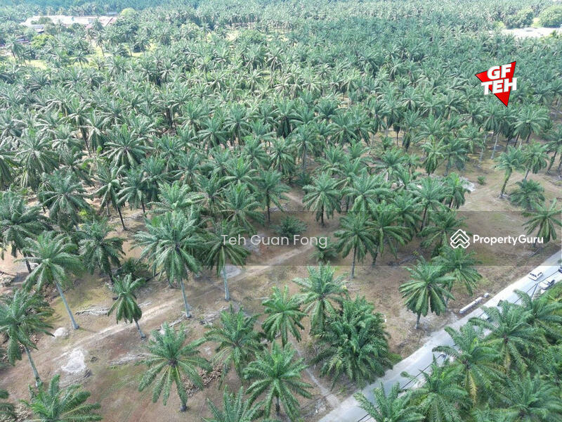 Untuk Dijual - 21.51 acres Residential Land | Bandar Tasek Mutiara | Simpang Ampat
