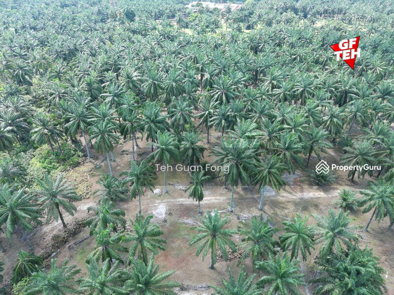 Untuk Dijual - 21.51 acres Residential Land | Bandar Tasek Mutiara | Simpang Ampat