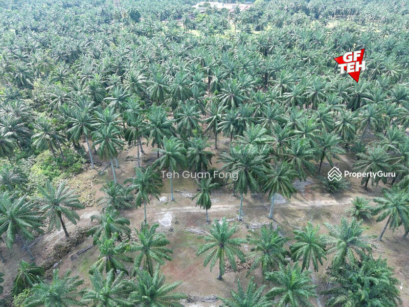 Untuk Dijual - 21.51 acres Residential Land | Bandar Tasek Mutiara | Simpang Ampat