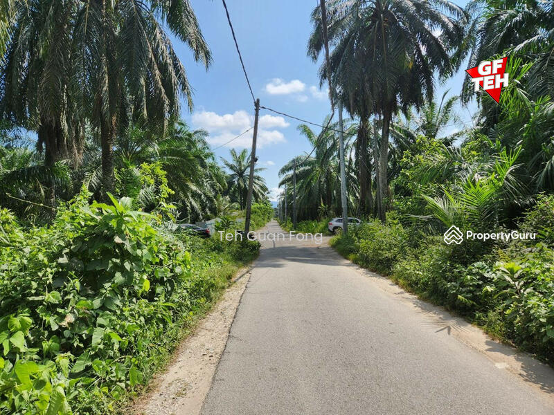 Residential Land for Sale in Bandar Tasek Mutiara (Simpang Ampat) - Teh Guan Fong - PropertyGuru.com.my
