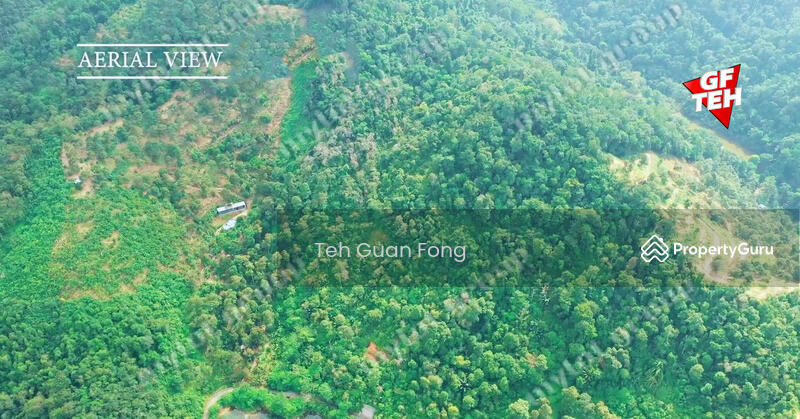 Agricultural Land for Sale in Mengkuang (Kubang Semang) - Teh Guan Fong - PropertyGuru.com.my