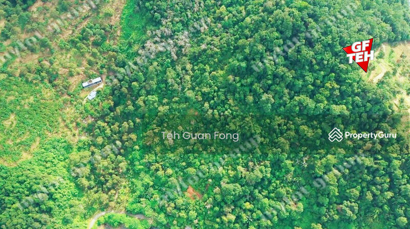 Agricultural Land for Sale in Mengkuang (Kubang Semang) - Teh Guan Fong - PropertyGuru.com.my