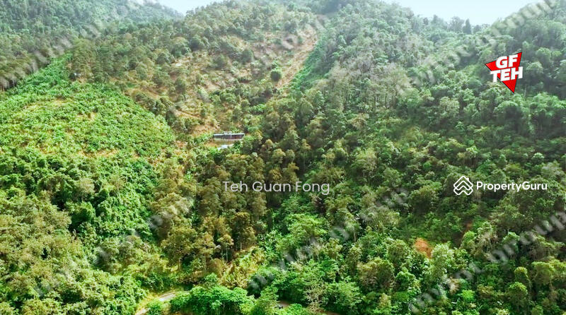 Agricultural Land for Sale in Mengkuang (Kubang Semang) - Teh Guan Fong - PropertyGuru.com.my