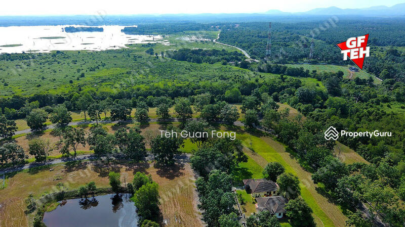 Residential Land for Sale in Gunung Semanggol (Semanggol) - Teh Guan Fong - PropertyGuru.com.my