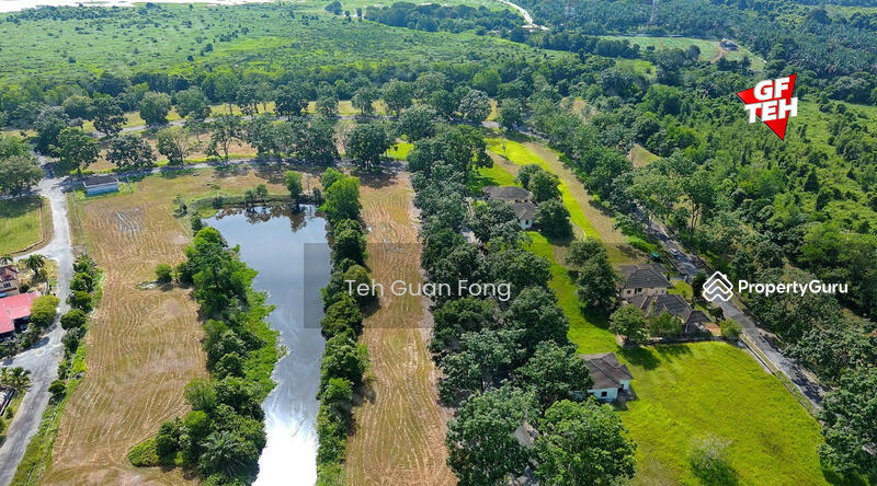 Residential Land for Sale in Gunung Semanggol (Semanggol) - Teh Guan Fong - PropertyGuru.com.my