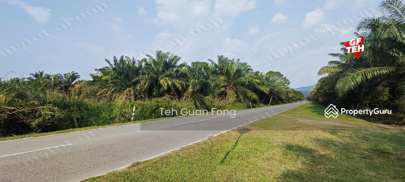 Agricultural Land for Sale in Kampung Changkat Dain (Sungai Jawi) - Teh Guan Fong - PropertyGuru.com.my