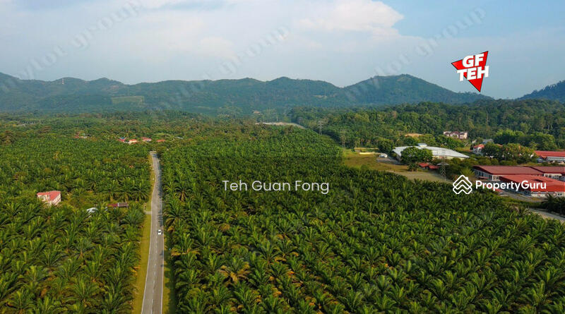 Agricultural Land for Sale in Kampung Changkat Dain (Sungai Jawi) - Teh Guan Fong - PropertyGuru.com.my
