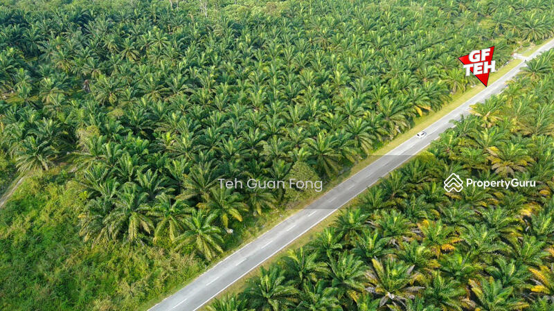 Agricultural Land for Sale in Kampung Changkat Dain (Sungai Jawi) - Teh Guan Fong - PropertyGuru.com.my