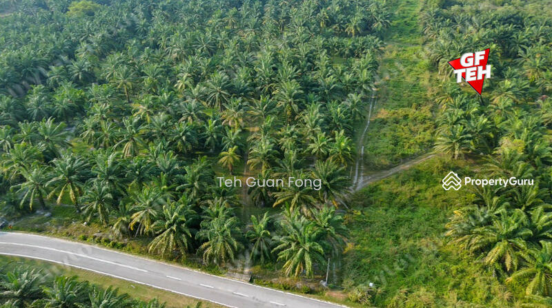 Agricultural Land for Sale in Kampung Changkat Dain (Sungai Jawi) - Teh Guan Fong - PropertyGuru.com.my