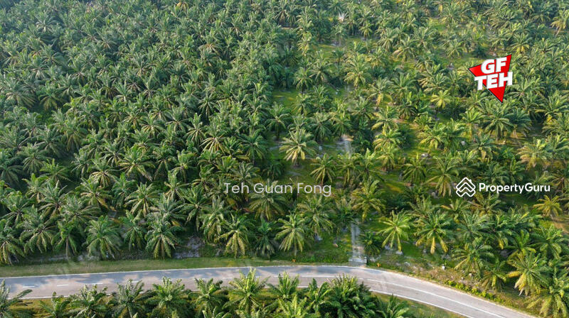 Agricultural Land for Sale in Kampung Changkat Dain (Sungai Jawi) - Teh Guan Fong - PropertyGuru.com.my