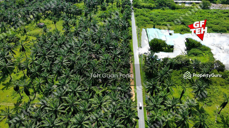 Residential Land for Sale in Taman Iks Simpang Ampat (Simpang Ampat) - Teh Guan Fong - PropertyGuru.com.my
