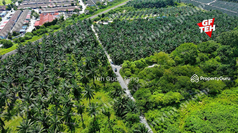 Residential Land for Sale in Taman Iks Simpang Ampat (Simpang Ampat) - Teh Guan Fong - PropertyGuru.com.my