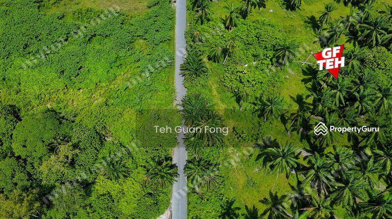 Residential Land for Sale in Taman Iks Simpang Ampat (Simpang Ampat) - Teh Guan Fong - PropertyGuru.com.my