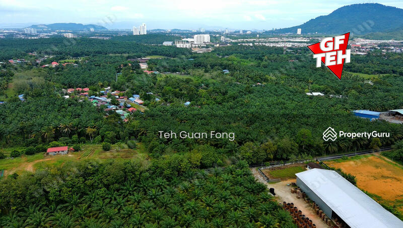 For Sale - 4 acres Residential Land near Bukit Teh | Near Machang Bubok | Near Simpang Ampat | Bukit Mertajam