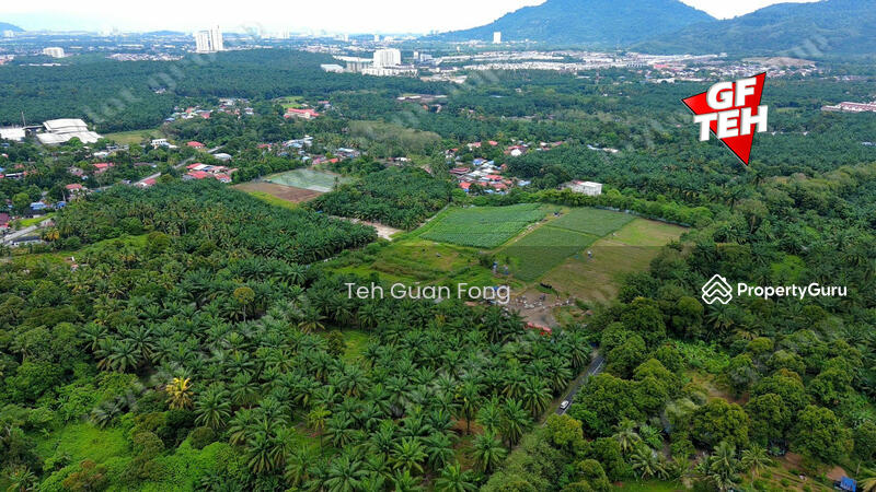 For Sale - 4 acres Residential Land near Bukit Teh | Near Machang Bubok | Near Simpang Ampat | Bukit Mertajam