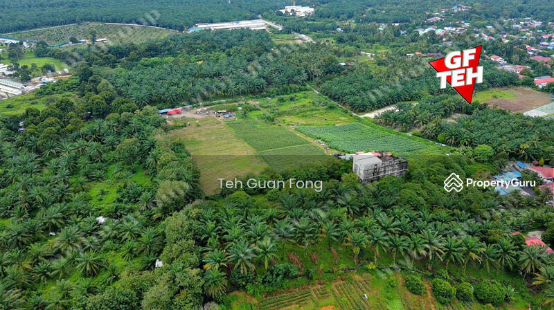 For Sale - 4 acres Residential Land near Bukit Teh | Near Machang Bubok | Near Simpang Ampat | Bukit Mertajam