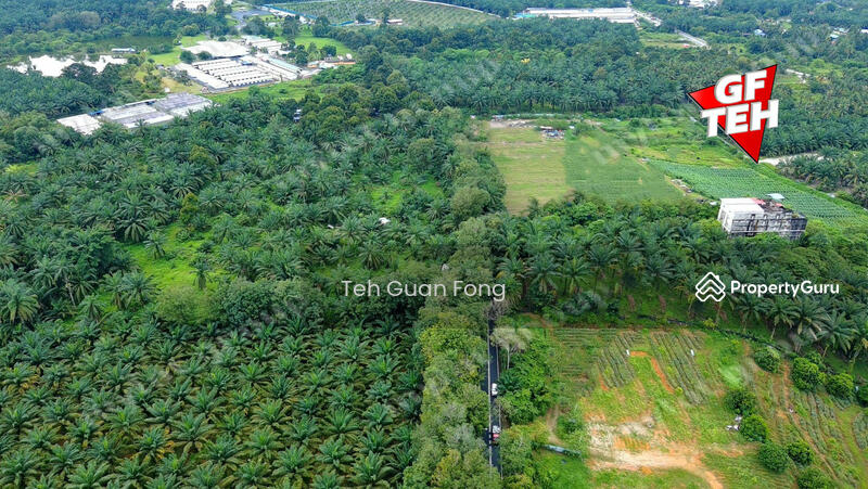 For Sale - 4 acres Residential Land near Bukit Teh | Near Machang Bubok | Near Simpang Ampat | Bukit Mertajam