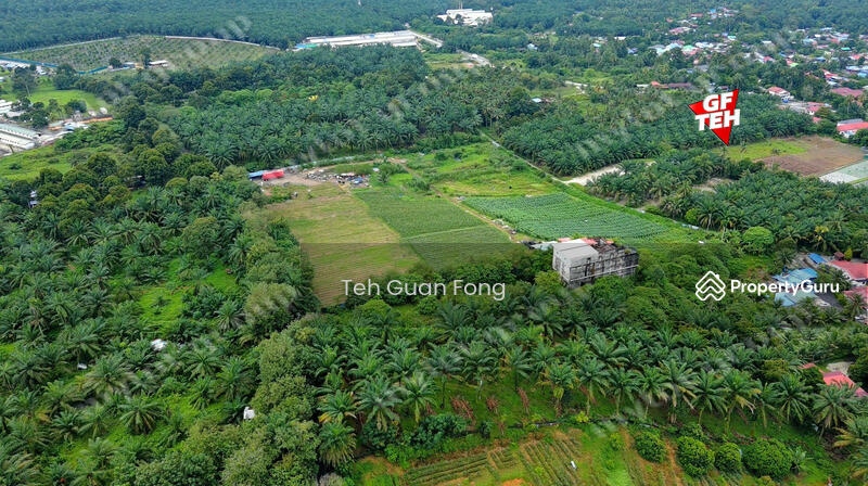 For Sale - 4 acres Residential Land near Bukit Teh | Near Machang Bubok | Near Simpang Ampat | Bukit Mertajam