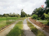 For Sale - 1.71 acre Agricultural Land | Paddy Field | Padang Meha | Kulim RM6psf