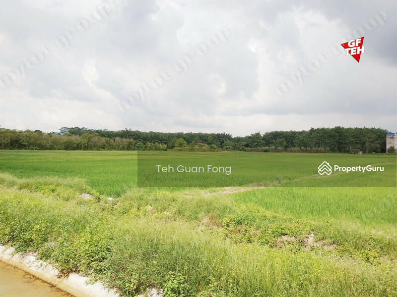 Tanah Pertanian untuk Dijual di Taman Desa Aman (Padang Meha) - Teh Guan Fong - PropertyGuru.com.my