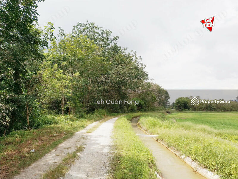 Tanah Pertanian untuk Dijual di Taman Desa Aman (Padang Meha) - Teh Guan Fong - PropertyGuru.com.my