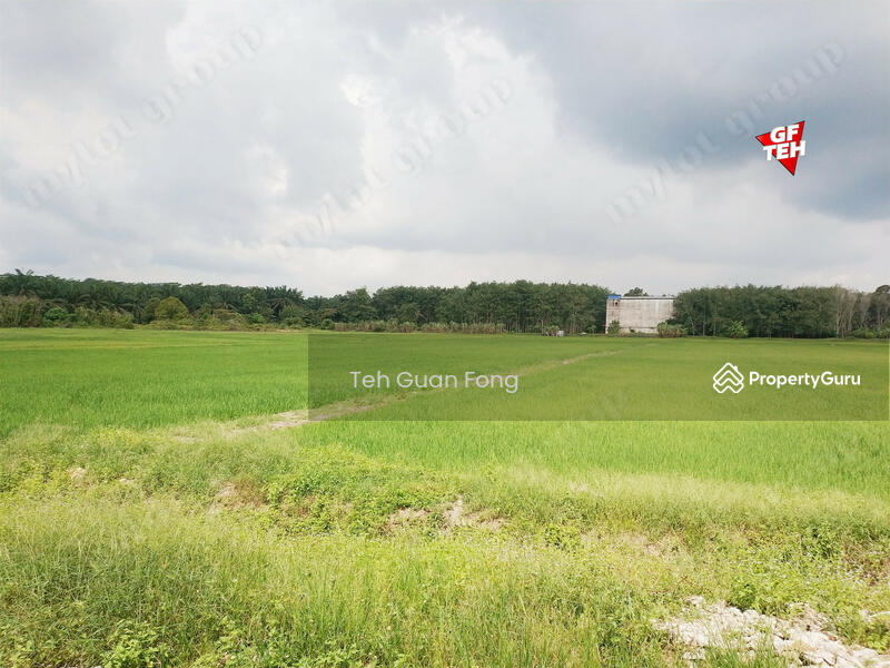 Tanah Pertanian untuk Dijual di Taman Desa Aman (Padang Meha) - Teh Guan Fong - PropertyGuru.com.my