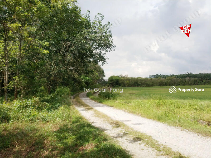 Tanah Pertanian untuk Dijual di Taman Desa Aman (Padang Meha) - Teh Guan Fong - PropertyGuru.com.my