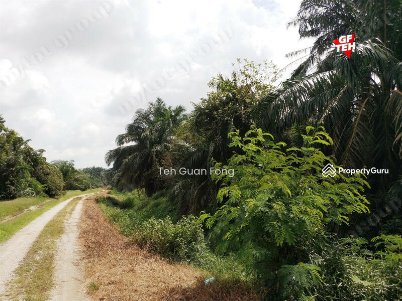 Tanah Pertanian untuk Dijual di Taman Desa Aman (Padang Meha) - Teh Guan Fong - PropertyGuru.com.my