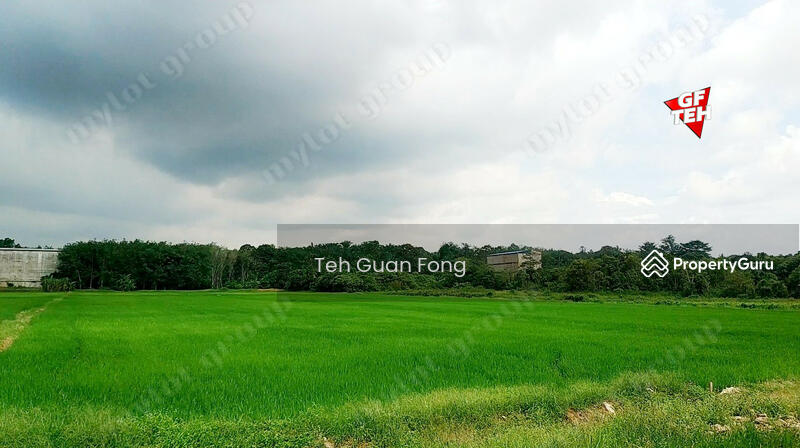 Tanah Pertanian untuk Dijual di Taman Desa Aman (Padang Meha) - Teh Guan Fong - PropertyGuru.com.my
