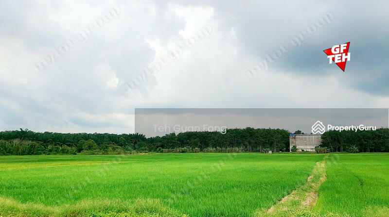 Tanah Pertanian untuk Dijual di Taman Desa Aman (Padang Meha) - Teh Guan Fong - PropertyGuru.com.my