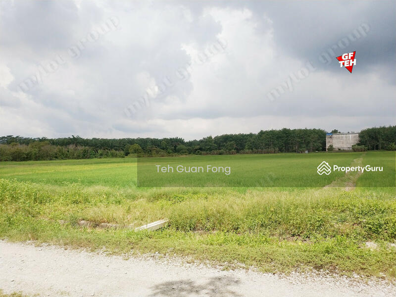 Tanah Pertanian untuk Dijual di Taman Desa Aman (Padang Meha) - Teh Guan Fong - PropertyGuru.com.my