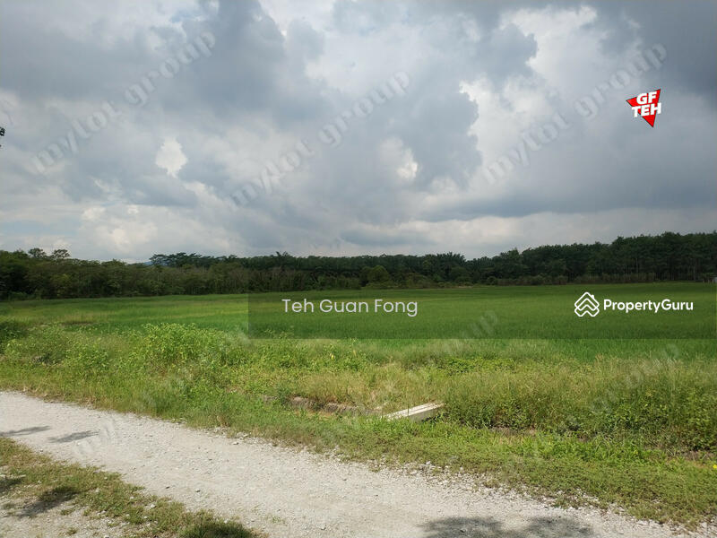 Tanah Pertanian untuk Dijual di Taman Desa Aman (Padang Meha) - Teh Guan Fong - PropertyGuru.com.my