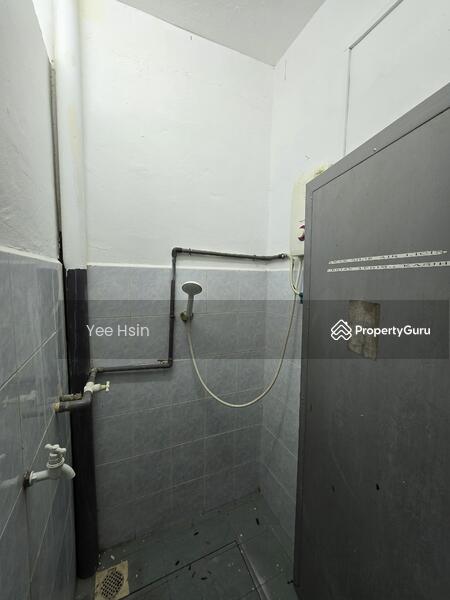 For Sale - Kota masai kota masai kotas masais