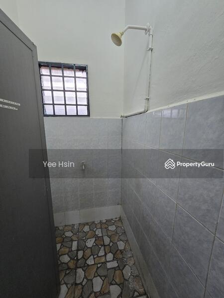 For Sale - Kota masai kota masai kotas masais