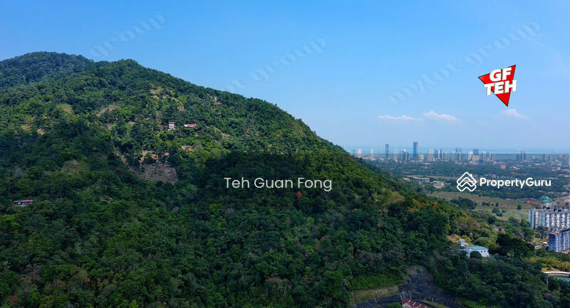 Agricultural Land for Sale in Bukit Bendera (Ayer Itam) - Teh Guan Fong - PropertyGuru.com.my