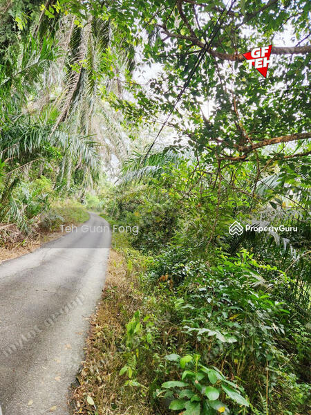 Tanah Pertanian untuk Dijual di Rantau Panjang (Selama) - Teh Guan Fong - PropertyGuru.com.my