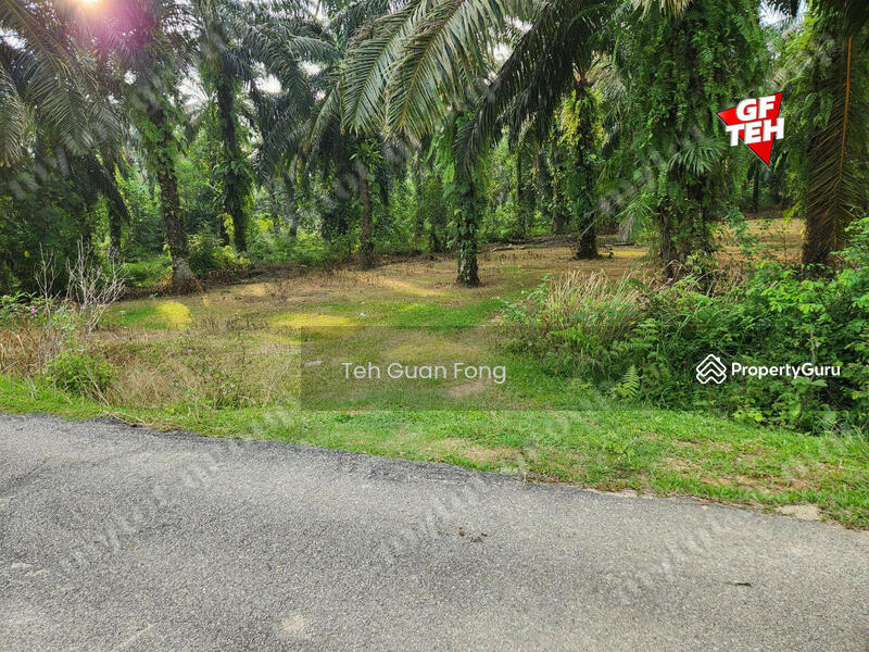 Tanah Pertanian untuk Dijual di Rantau Panjang (Selama) - Teh Guan Fong - PropertyGuru.com.my