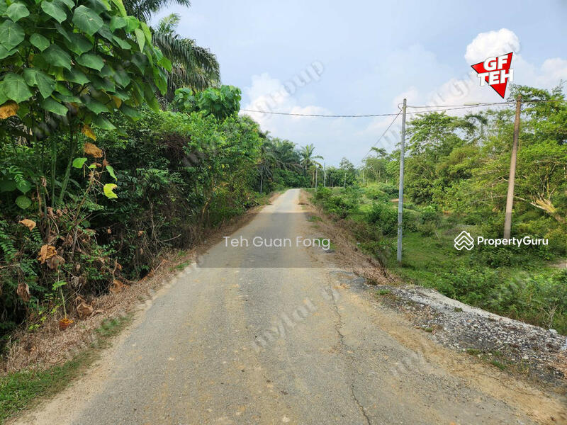 Tanah Pertanian untuk Dijual di Rantau Panjang (Selama) - Teh Guan Fong - PropertyGuru.com.my