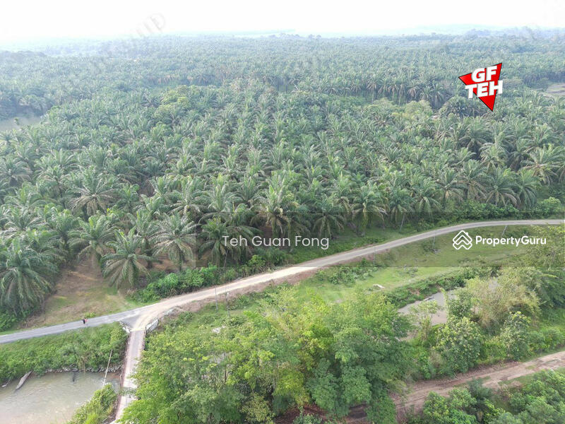 Tanah Pertanian untuk Dijual di Rantau Panjang (Selama) - Teh Guan Fong - PropertyGuru.com.my