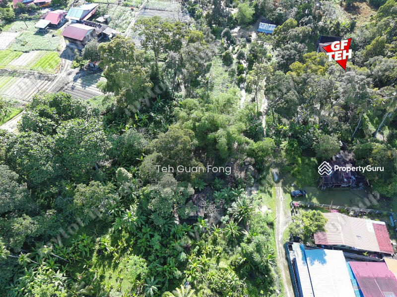 For Sale - 2.306 acres Residential Land Balik Pulau | Penang 33.72psf