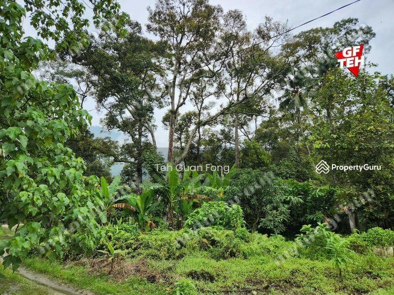 For Sale - 2.306 acres Residential Land Balik Pulau | Penang 33.72psf