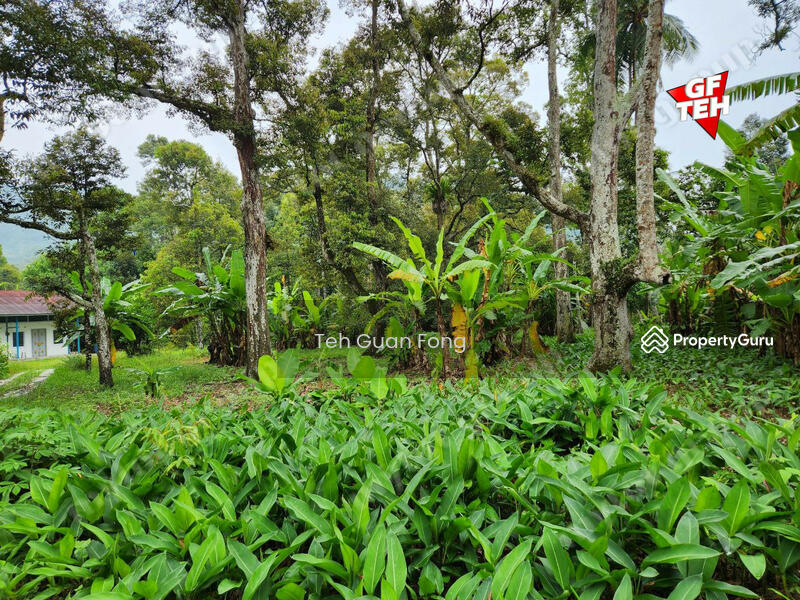 For Sale - 2.306 acres Residential Land Balik Pulau | Penang 33.72psf
