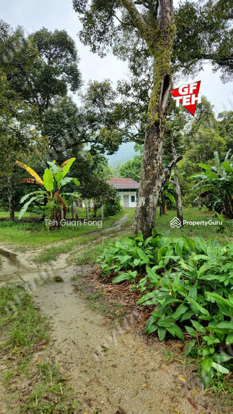 For Sale - 2.306 acres Residential Land Balik Pulau | Penang 33.72psf