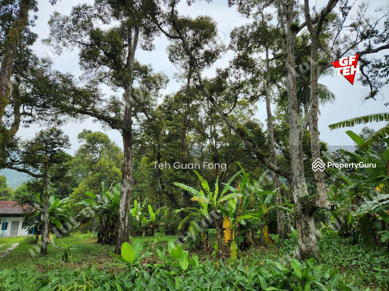 For Sale - 2.306 acres Residential Land Balik Pulau | Penang 33.72psf