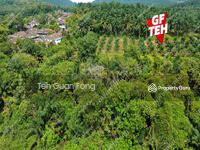 For Sale - 4.58 acres | Road Side | Residential Land | Junjong | Kedah 27 psf