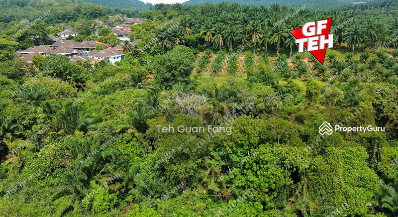 Untuk Dijual - 4.58 acres | Road Side | Residential Land | Junjong | Kedah 27 psf