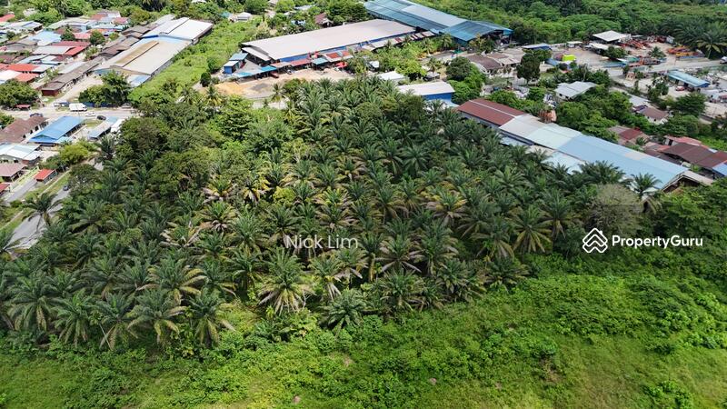 For Sale - Machang Bubok