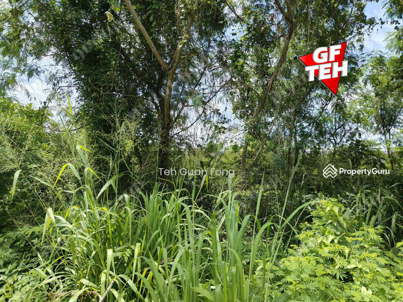 Agricultural Land for Sale in Mengkuang (Kubang Semang) - Teh Guan Fong - PropertyGuru.com.my